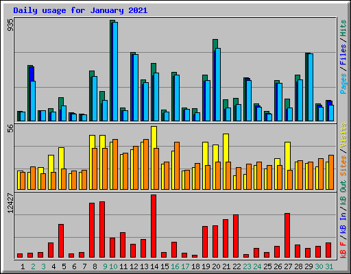 Daily usage for January 2021