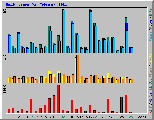 Daily usage for February 2021