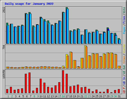 Daily usage for January 2022