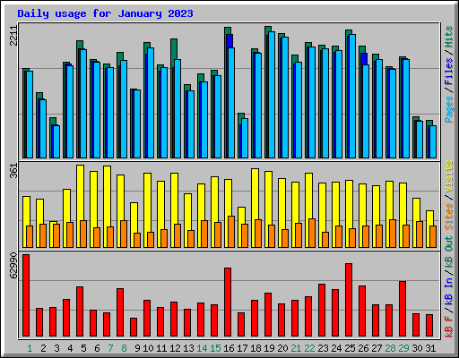 Daily usage for January 2023