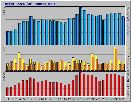 Daily usage for January 2024