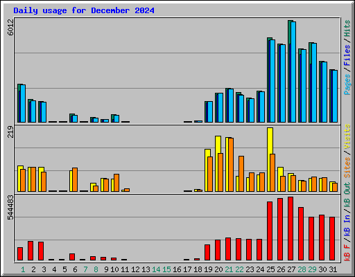 Daily usage for December 2024