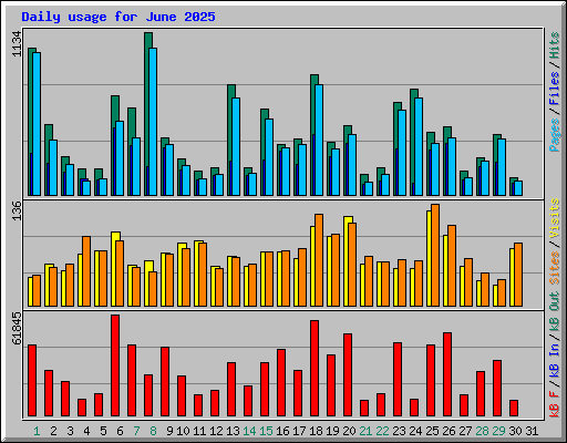 Daily usage for June 2025