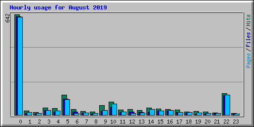 Hourly usage for August 2019