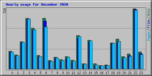 Hourly usage for December 2020