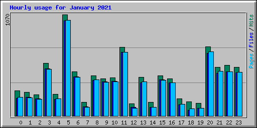 Hourly usage for January 2021