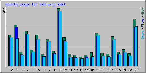 Hourly usage for February 2021