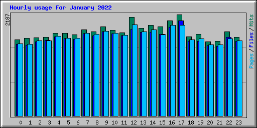 Hourly usage for January 2022