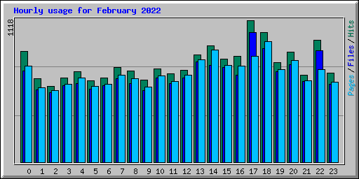 Hourly usage for February 2022