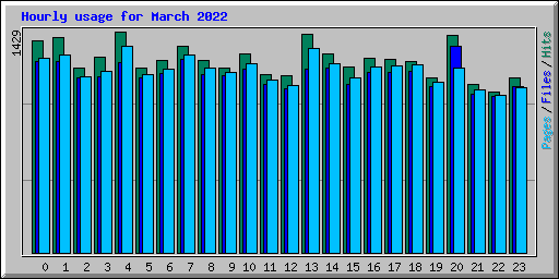 Hourly usage for March 2022