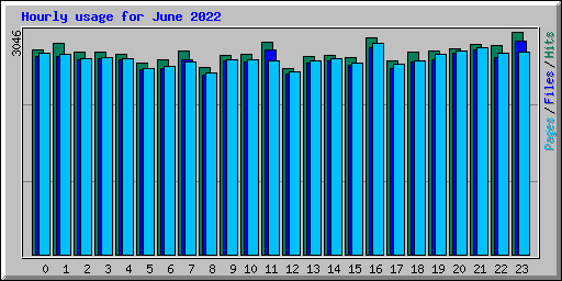 Hourly usage for June 2022