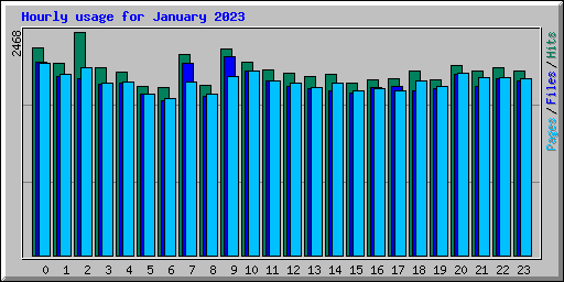 Hourly usage for January 2023