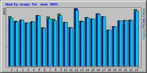 Hourly usage for June 2023