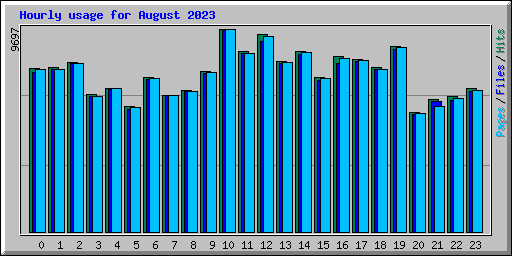 Hourly usage for August 2023