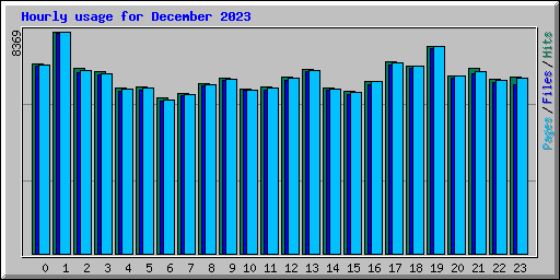 Hourly usage for December 2023