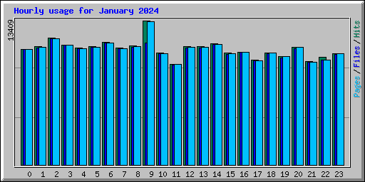 Hourly usage for January 2024