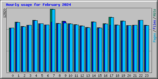 Hourly usage for February 2024