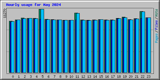 Hourly usage for May 2024
