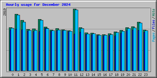 Hourly usage for December 2024