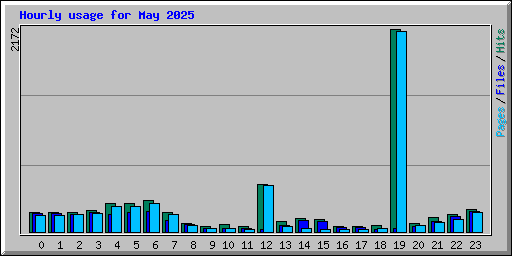 Hourly usage for May 2025