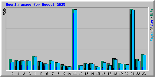 Hourly usage for August 2025