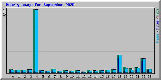 Hourly usage for September 2025