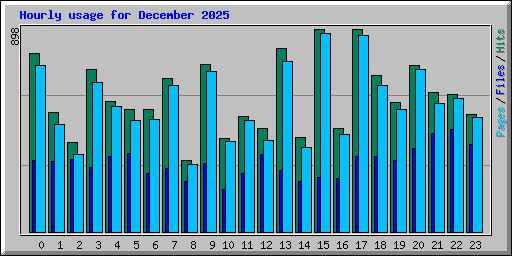 Hourly usage for December 2025
