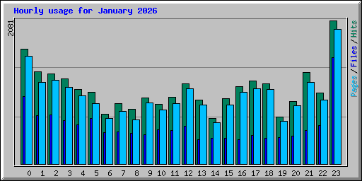 Hourly usage for January 2026