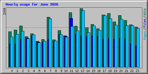Hourly usage for June 2026